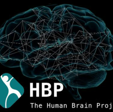 CWI in Human Brain Project