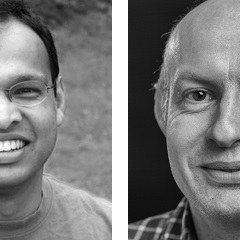 Vici grants for Nikhil Bansal and Roeland Merks