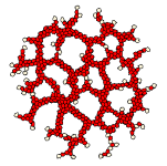 Computer simulations show mechanisms behind vascular development