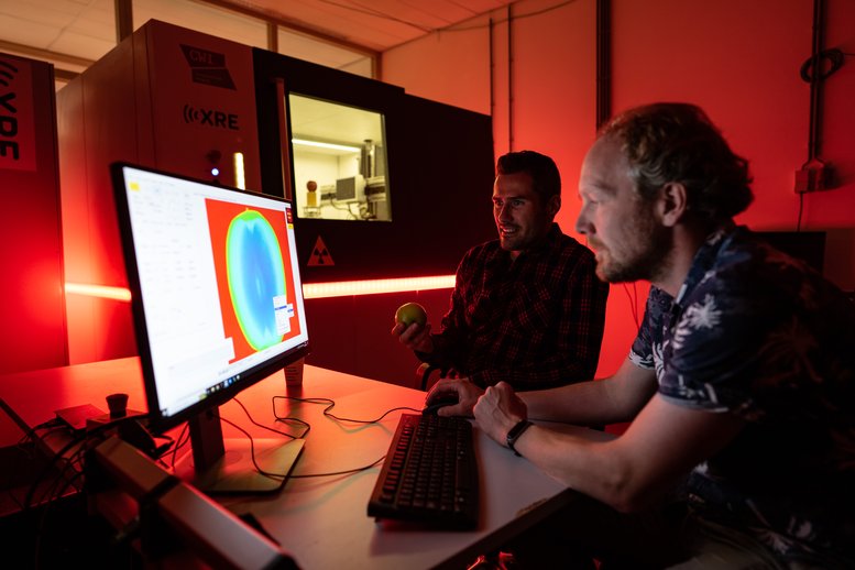 Tristan van Leeuwen sitting in front of a computer screen, looking at an X ray scan of the inside of an apple.