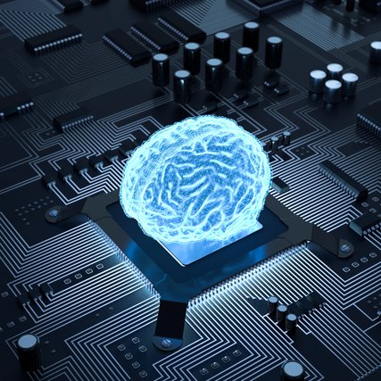 Brein op Shutterstock