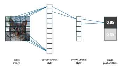 Schematic depiction of a convolutional neural network classifying an image of a cat