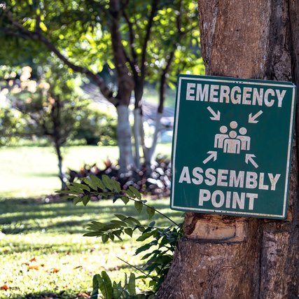 Emergency assembly point sign on a tree
